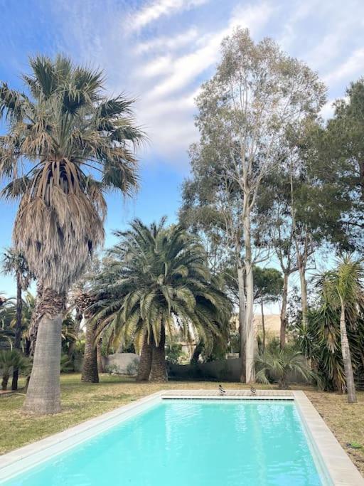 Villa Avec Magnifique Piscine Et Grand Jardin, A 2 Pas Du Golf Et De La Plage Saint-Cyprien  Exterior photo