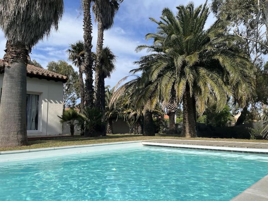 Villa Avec Magnifique Piscine Et Grand Jardin, A 2 Pas Du Golf Et De La Plage Saint-Cyprien  Exterior photo