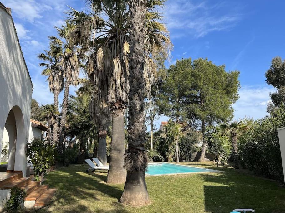 Villa Avec Magnifique Piscine Et Grand Jardin, A 2 Pas Du Golf Et De La Plage Saint-Cyprien  Exterior photo